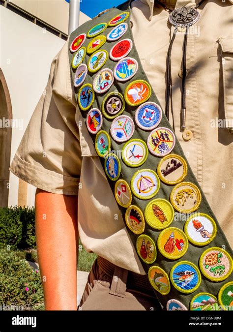 scouts merit badge holder.